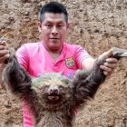 El supuesto victimario del oso perezoso, lo muestra poco antes de su muerte.