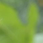 Es fanática de los enterizos.