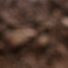 Gonzalo Mastriani lleva 5 goles con Barcelona, 4 en LigaPro y 1 en Copa Libertadores.