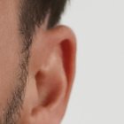 Eduardo Bolsonaro estuvo junto a su padre en la cumbre de la ONU.