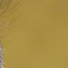 El entrenador Fabián Daniel Bustos llevó a Barcelona a las semifinales de la Copa Libertadores.