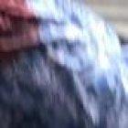 La herida fue embarcada en una ambulancia y llevada a un hospital.