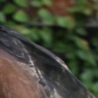 La presentadora ha estado alejada de la televisión.