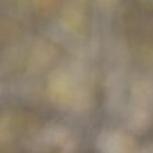 Michael Estrada es el hombre de los goles de Ecuador.