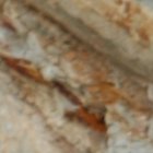 La actriz y presentadora de televisión se ha vuelto en la 'comidilla' de la farándula en estos últimos días.