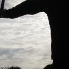 invasión de brujos
Gatos, perros y aves se usarían para ritos macabros este día. En algunos mercados populares de la Capital hasta venden animales para este propósito. Animalistas aconsejan cuidar a sus mascotas hoy, en especial si son cachorros.