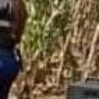 Los investigadores  policiales informaron que la víctima no registra antecedentes penales.