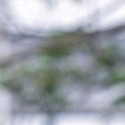 Gonzalo Mastriani estará en la delantera amarilla.