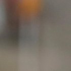 Tras 36 horas Aminata Diallo fue puesta en libertad.