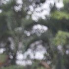 Todos los fines de semana se juega el torneo en varias canchas de Milagro.Guayaquil-Ecuador
Agencia (ag-expreso)