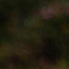 La ingreso del ecuatoriano al reality ha traído malas caras y opiniones dentro del show.