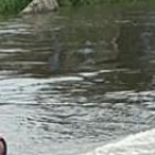 La búsqueda es permanente.