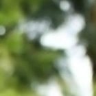 La modelo salvadoreña consiguió trabajo en Ecuador. Ella dice que su plan es vivir en Ecuador.