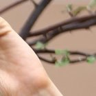 La reina de belleza está concursando para convertirse en la nueva presentadora del matinal En Contacto