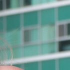 En agosto celebrará su cumpleaños y espera que sea en la luna de miel.