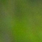 Joao Plata debutará el 19 de febrero del 2022 con la camiseta del Delfín ante Barcelona.