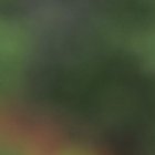 Se viene el debut en LigaPro de Lucas Sosa, defensa de Barcelona.