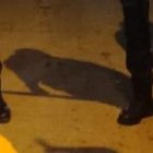 La conmoción por el tiroteo a un hombre se hizo presente en el callejón Santana, en Manta.