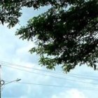 La carretera Naranjal-tenguel está cerrada provisionalmente desde este lunes 7 de marzo.