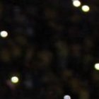 Gustavo Alfaro levantado por los jugadores de Ecuador.