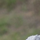 Carlos Rodríguez defensa de Barcelona está en el 11 ideal, aquí entrena junto a Bruno Piñatares.