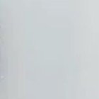 El perrito pudo detectar la droga a tiempo.