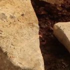 El cuerpo de Germania cayó frente a su vivienda, en un callejón de asfalto y tierra.