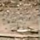 Los restos de la pareja fueron hallados en una zona desolada.