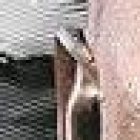 Gabriel Cortez un drama que nadie se imaginó.