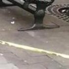 ¡Le 'devolvieron' los dedos a la estatua del Vendedor de Lotería!