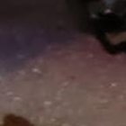 La Policía todavía no tiene información de los victimarios.