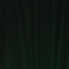 Andreína Bravo y Mare Cevallos participaron en la primera temporada del reality turco 'El poder del amor'.