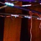 No te pierdas los shows de Diva Nicotina.