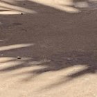 Marco Guadalupe asegura que es un hombre divertido, pero que también se siente sexy.