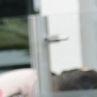 En este lugar, un policía buscó refugio para no ser asesinado.