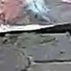 Las casas de madera de los canes fueron desalojadas de un terreno.