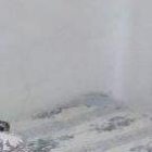 Varios disparos recibieron Cachorro (izquierda) y Miney (derecha).