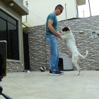 El coronel Mario Corrales Herrera se ha convertido en una estrella del TikTok. Su usario es @majacohe