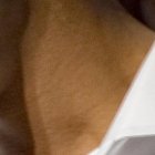 El astro brasileño estará en Quito el 2 y 3 de agosto. Compartirá con aficionados y estará en la final de un torneo de habilidades con el balón.