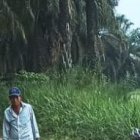 Miembros de la policía hallaron casquillos de un arma de fuego, de 9 milímetros.