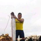 Alarma en puerto peninsular por pez que aseguran trae desgracia.