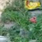 Familiares se llevan cuerpo de hombre asesinado e impiden que policía realice levantamiento