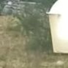 Presuntos delincuentes huyendo hacia la maleza.