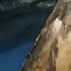 El carro quedó en la cuneta y las víctimas sobre el pavimento.