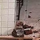 La persona murió en el Colima. El presidente López Obrador confirmó que la víctima mortal cayó desde una tienda.