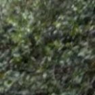 La última jornada de búsqueda la hicieron el sábado.