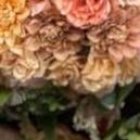 La presentadora se mostró emocionada y agradecida por la oportunidad.