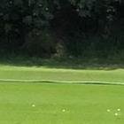 Juan Carlos Paredes (i) formó parte del entrenamiento matutino del Cumbayá, el lunes 10 de octubre