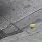 Captura de pantalla del video en el que Denver se hizo famoso. Él tomó el bus 705 de la línea 16 y se bajó como si nada.