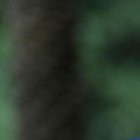 Carlos José Matamoros y Henry Bustamante.